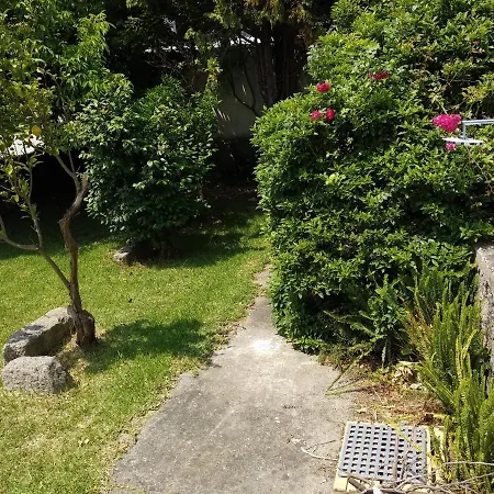 艾尔博托旅馆 旅馆 Maía